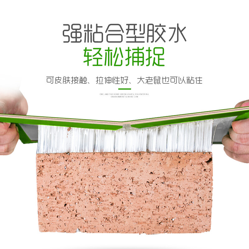 绿叶(Green Leaf)粘鼠板老鼠粘板捕鼠器强力胶粘老鼠贴50只装/箱GL02106