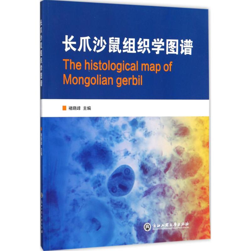 【M】长爪沙鼠组织学图谱-9787517823483