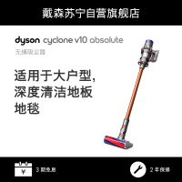 戴森(Dyson)无绳吸尘器V10Absolut 适用于大户型 强劲吸力 高效除螨 地毯地板双吸头 运行时间高达60分钟