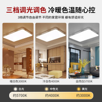 公牛客厅灯简约现代大气家用卧室吸顶灯2020年新款长方形led吊灯