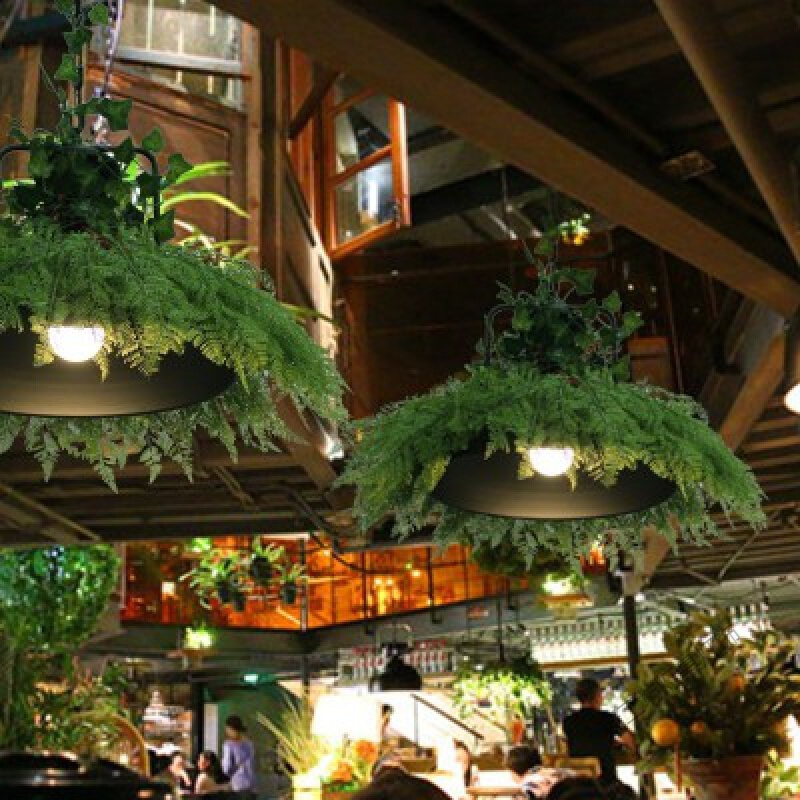 音乐餐吧植物吊灯樱花酒吧奶茶店餐厅装饰饭店烧烤店创意绿植吊灯