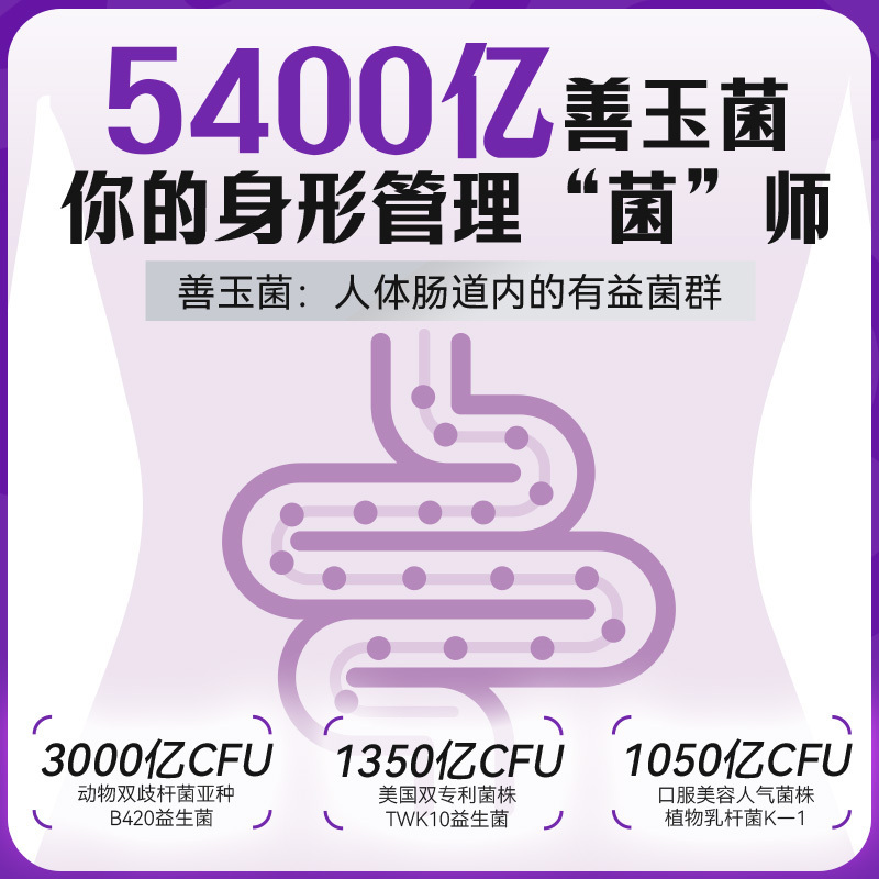 ISDG B420益生菌 身材体重管理肠道肠胃瘦子菌胶囊30粒/盒*2 男女通用活性益生菌