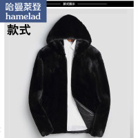 哈曼莱登hamelad海宁貂绒连帽貂皮大衣男短款青年整貂仿水貂皮草外套皮衣男士冬季 L 连帽