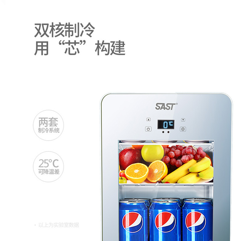 先科(SAST)22L迷你车载冰箱制冷车家两用电子冰箱透明玻璃 学生宿舍便捷式微型小冰箱冷暖箱 22L双核数显 雪花银