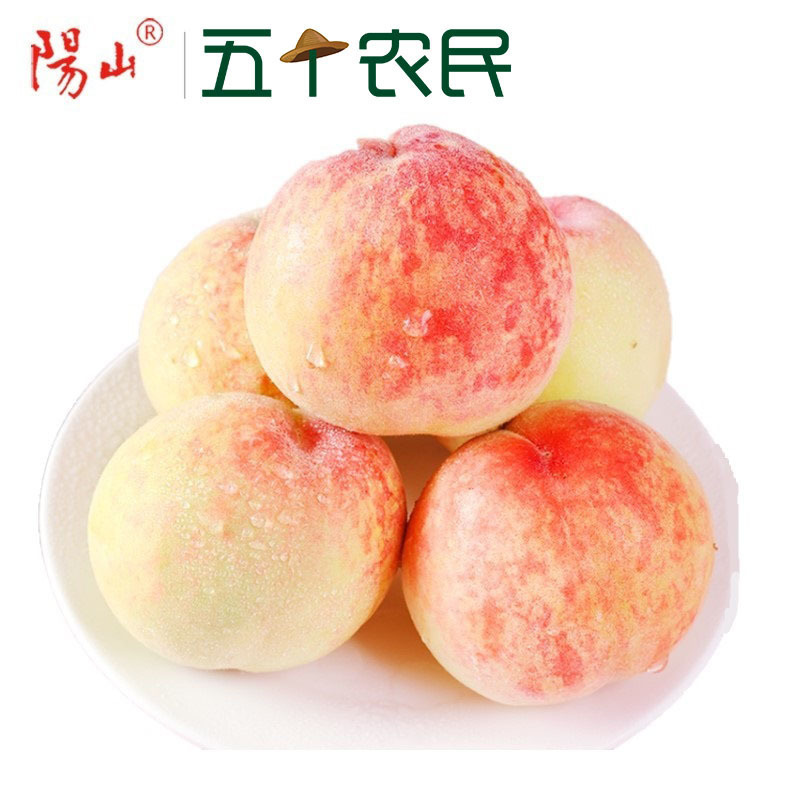 [五个农民]正宗无锡阳山水蜜桃湖景桃7-8两6个礼盒装新鲜水果桃子 产地空运直发