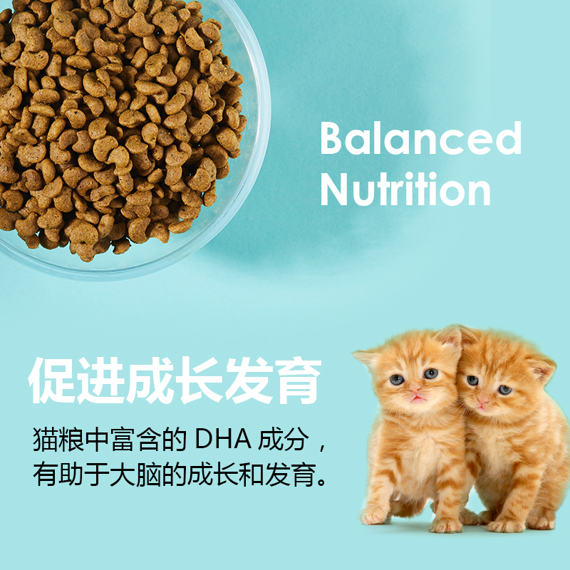 汤恩贝K2BK2幼猫猫粮美短 进口原料奶糕怀孕母猫英短天然猫粮10kg高清大图