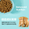 汤恩贝K2BK2幼猫猫粮美短 进口原料奶糕怀孕母猫英短天然猫粮10kg