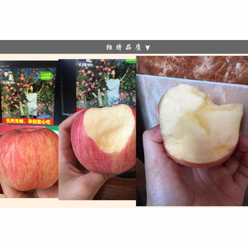 金珠泉 烟台苹果山东栖霞应季80-90mm红富士脆甜整箱28斤(10箱起发) DT 72998