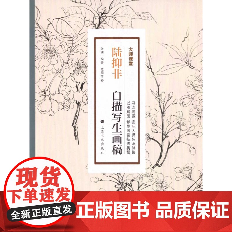 陆抑非白描写生画稿 大师课堂 张渊编陆抑非绘上海书画出版社近现代花鸟画大家展现白描人物写生教学图谱高清大图