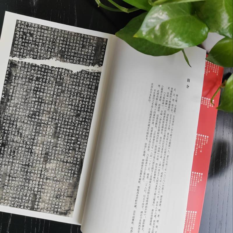 醉染图书柳公权玄秘塔碑9787547904039高清大图