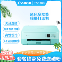 佳能(Canon)TS5380照片打印机家用小型无线WiFi彩色喷墨多功能一体机 打印复印扫描 手机办公彩色照片打印机 粉绿色 套餐一
