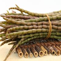 铁皮石斛新鲜条四年生霍山石斛云南石斛干花枫斗500g克