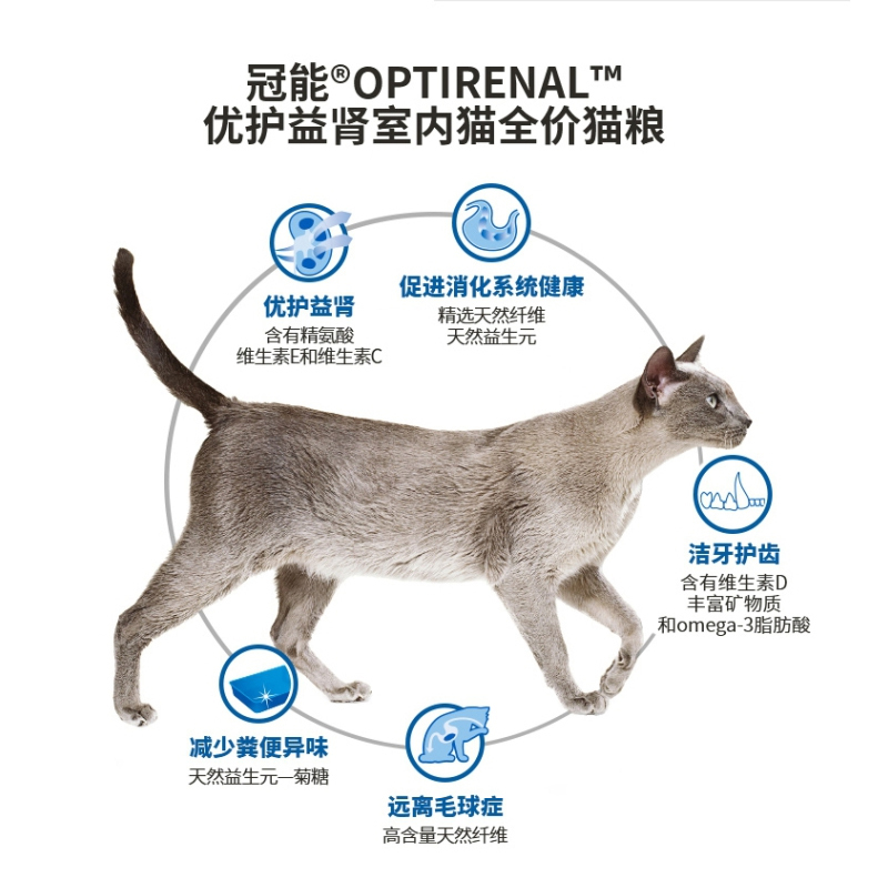 冠能成猫粮2.5kg猫咪主粮美短英短布偶猫通用猫粮5斤猫主粮