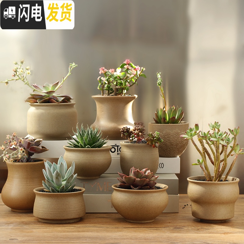 三维工匠多肉花盆粗陶透气大口径家用创意个性肉肉植物陶瓷老桩盆 套装四 中等花盆容器高清大图