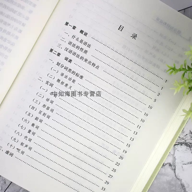 [正版]语法知识和运用精装实用现代汉语语法基础知识教程词类短语句子复句句子语法错误和标点符号的运用广大师生语言文字高清大图