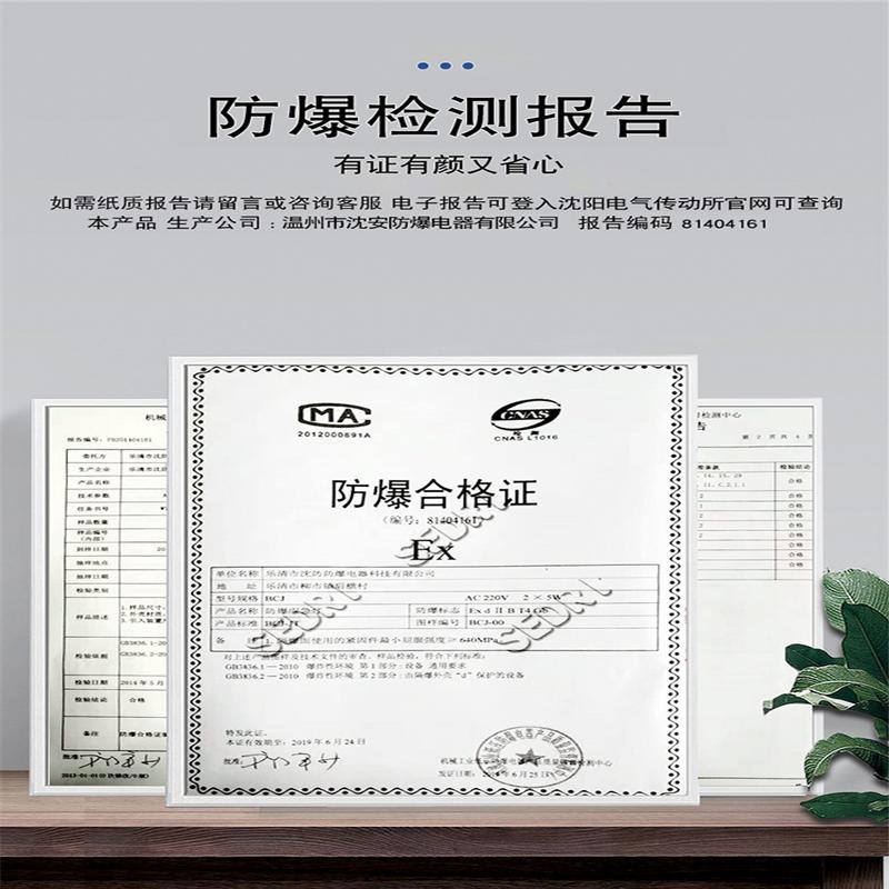 应急照明灯 BAJ52 127V