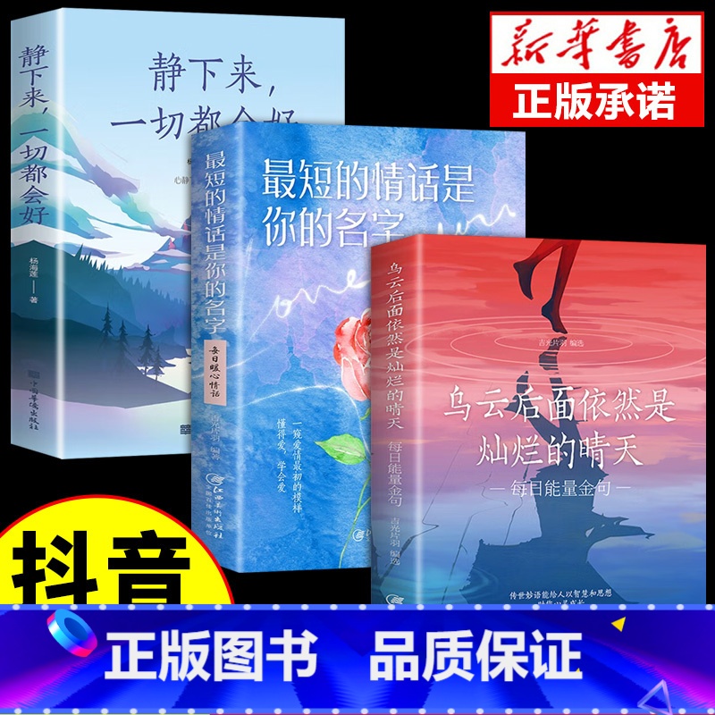 【全3册】乌云晴天+情话+静下来 【正版】乌云后面依然是灿烂的晴天每日能量金句全3册短的情话静下来一切都会变好人生启迪励