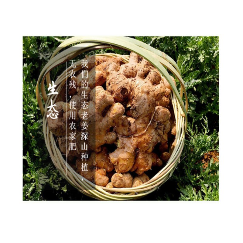 胡成(HUCHENG) 农家生姜 500g