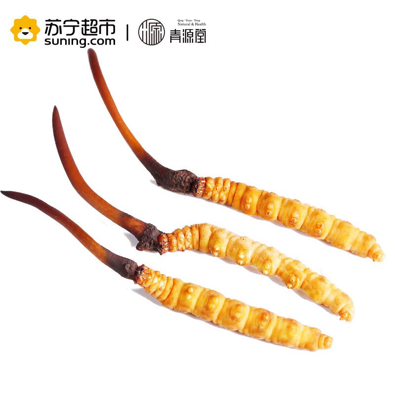 青源堂 冬虫夏草 0.5克/条 40条装 20克 新鲜冬虫夏草青海玉树高海拔雪山虫草正品 可泡酒泡水