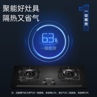 帅康(sacon)KB01E燃气灶双灶台式嵌入式煤气灶700*400大开孔5.0kW大火力家用钢化玻璃炉具煤气炉天然气