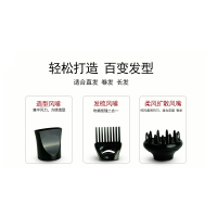 飞科电吹 FH6275家用理发店发廊大功率2200w6档调控恒温护发;负离子护发;冷热风护发过热保护