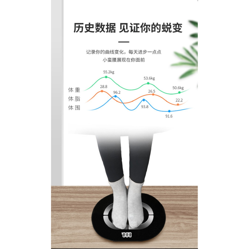 FLYCO飞科智能健康秤FH7025