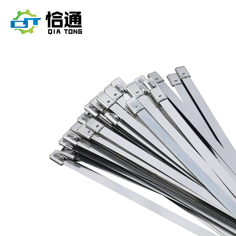 恰通 不锈钢扎带 12*200mm 根高清大图