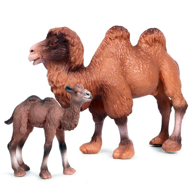 儿童仿真实心模型玩具野生动物摆件沙漠单双峰骆驼幼崽蒙古骆驼m1311