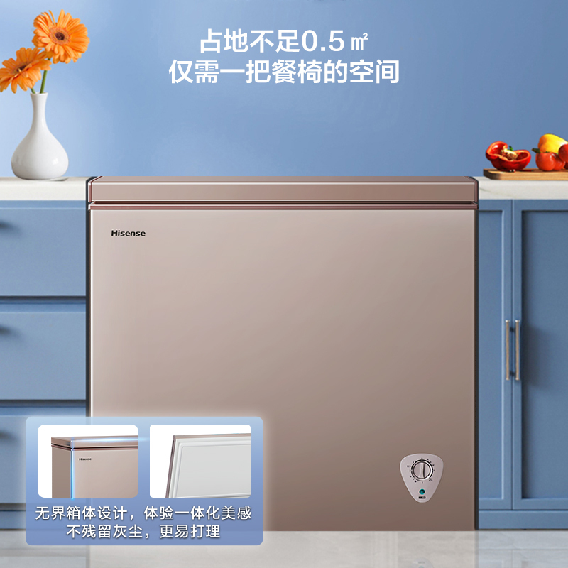 海信(Hisense) 203升 家商两用冰柜 断电保护 一级能效冷藏冷冻转换冰柜 单温卧式冷柜BD/BC-203NUD