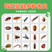 DEWORM植物趋避凝胶-蛋型-10瓶
