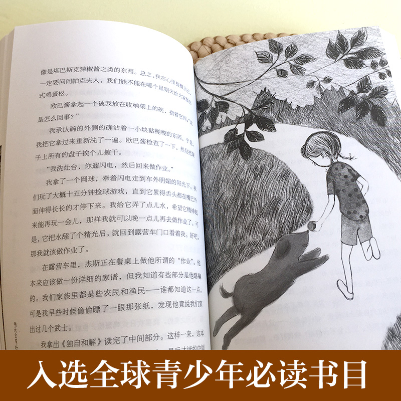 [正版]长青藤国际大奖小说书系第4辑 明天会有好运气 美国国家图书奖金奖 9-12-15岁中小学生课外阅读书籍 青少年高清大图