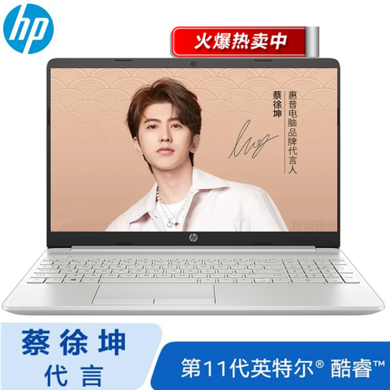 [2021款]惠普(HP)星15青春版 15S-DR3002TX 15.6英寸超轻薄笔记本定制(新11代酷睿 I5-1135G7 32G 512G MX450-2G独显)银色