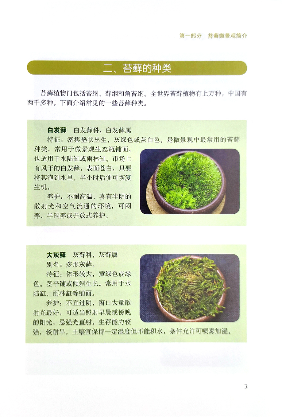 [醉染正版]正版 苔藓微景观巧制作 25770 高琼 趣味园艺丛书 家庭园艺 养花 造景艺术978710925770高清大图