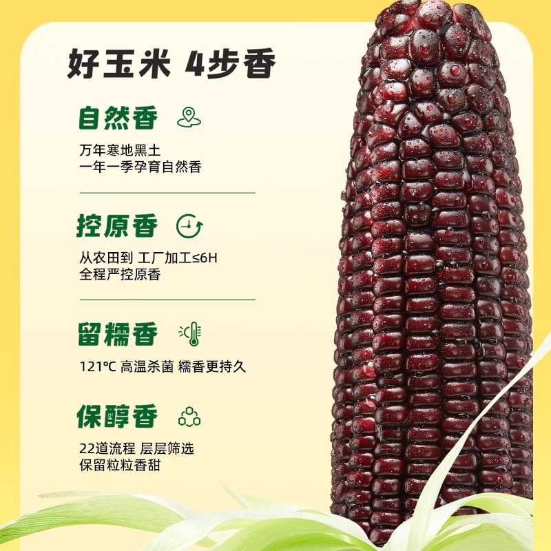 十月稻田黑糯玉米220g*8根东北软糯甘甜大棒富含花青素清香1.76kg高清大图