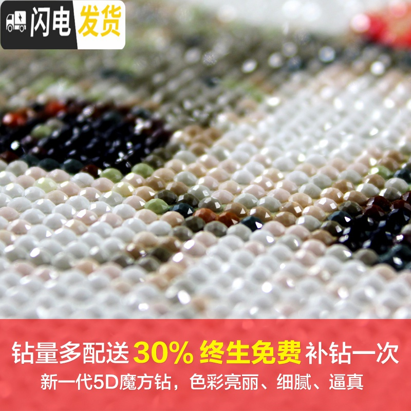三维工匠异形钻5d钻石画满钻卧室卡通动物可爱猫咪粘点钻石绣十字绣砖石画 [满钻]异形+AB彩钻150X41CM
