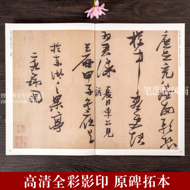 [正版]历代名家书法珍品 张瑞图书法 张瑞图草书千字文 前后赤壁赋 行书草书毛笔书法临摹字帖碑帖 原碑帖拓本 许裕长编