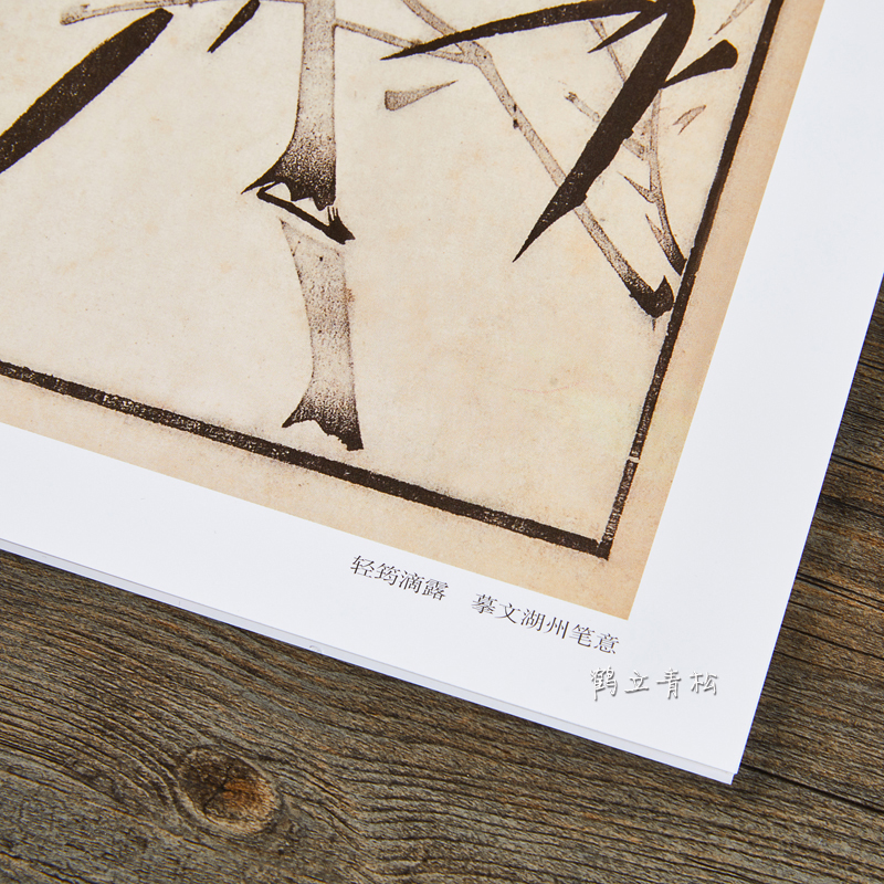 [正版]芥子园画谱康熙原版全彩芥子园画传竹谱册页盒装6开大本单张图册 高清 临摹 装饰 赏析 国画竹子画册清李渔编河北高清大图