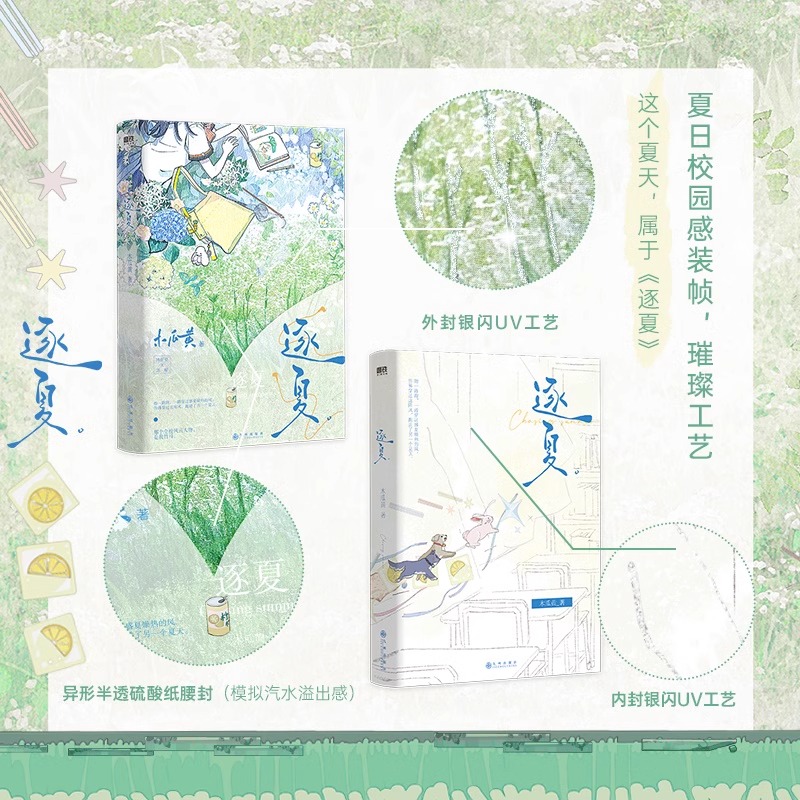[正版]逐夏 小说 木瓜黄 特殊人格朝俞这题超纲了伪装学渣 青春文学校园实体书言情 磨铁图书 书店书籍高清大图