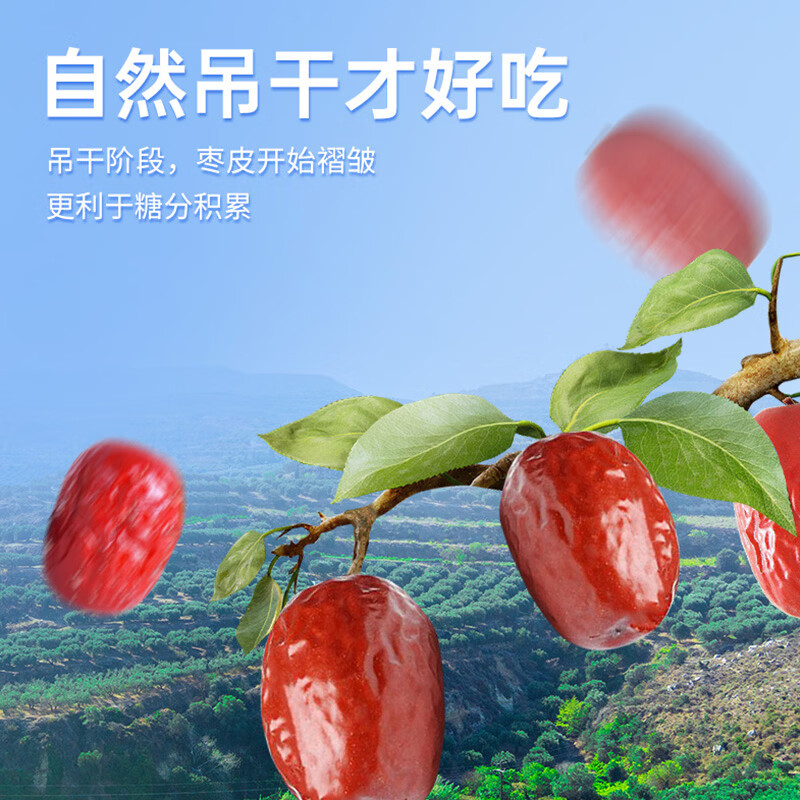 枣粮先生(金丝情)乐陵金丝小枣800g高清大图