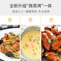 帝而(Dual)微波炉DIK47(绿色)德国帝而小仙女光波微波炉烤箱一体家用平板小型迷你