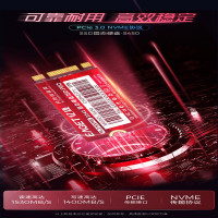 忆捷(EAGET)S450-512G固态硬盘(2242、NVME协议、PCIE通道)