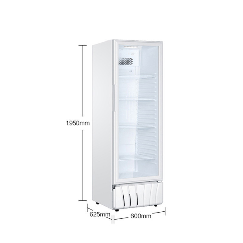 Haier/海尔 390升 商用展示柜 立式冰柜 玻璃门透明陈列柜单门冷藏饮料柜冷柜立式展示柜保鲜柜侧开门 SC-412