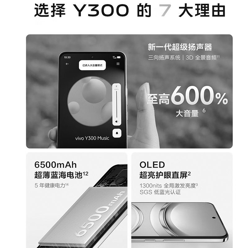 vivo Y300 Pro 钛色 12GB+512GB 骁龙6 5G芯 6500mAh电池 80W充电 5000万高清影像 5G手机