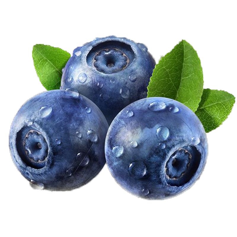 家庭装【熊猫鸟】云南蓝莓 1000g 单果15mm+ 新鲜水果当季蓝梅鲜果现摘高山怡颗孕妇可食