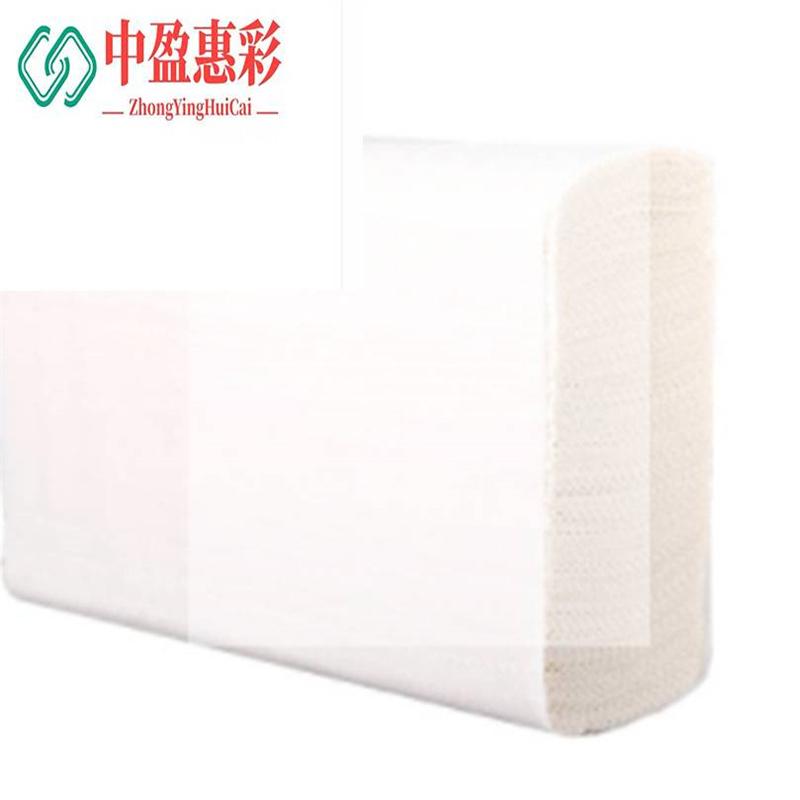 中盈惠彩 擦手纸 CSZ0074 23*6.5*13.5cm 20包 1箱高清大图