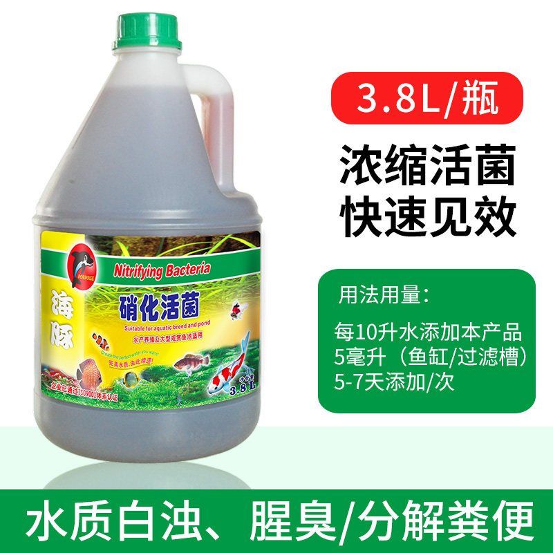 锦鲤硝化细菌鱼缸虫菌净水剂除氯绿水浑水净化观赏鱼