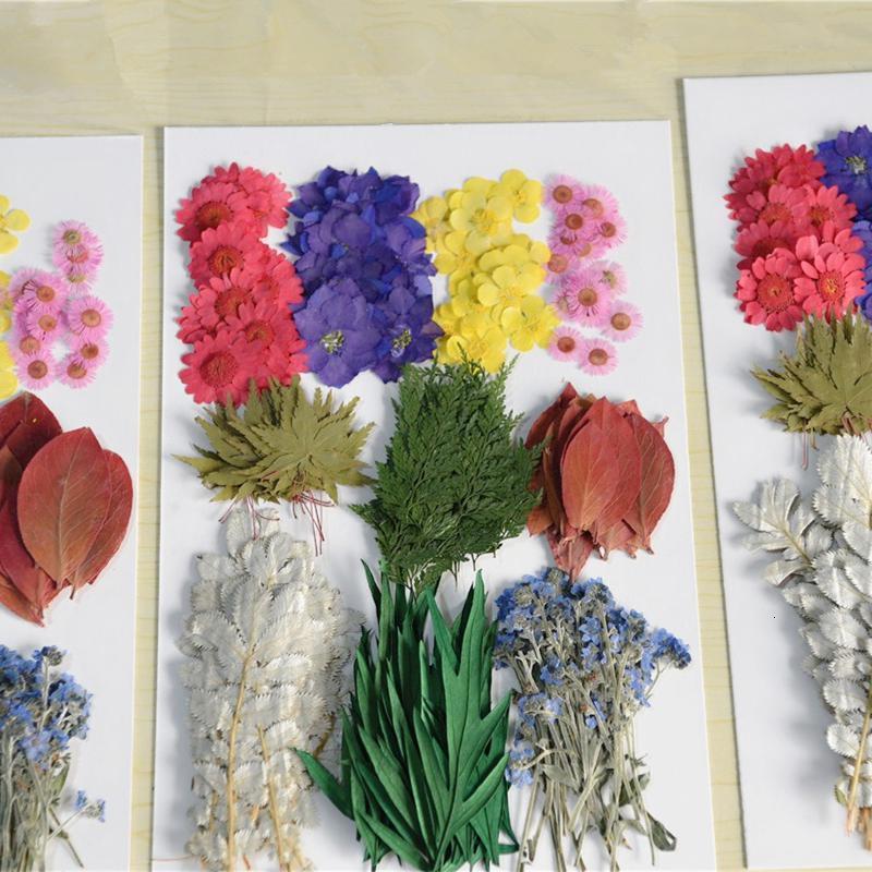 大花材包押花材料包压花包滴胶干花天然真花干燥花标本