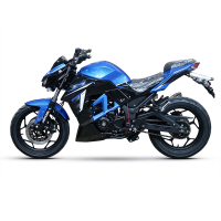 风感觉国四电喷摩托车跑车大蟒蛇200-400ccZ1000复古街车公路赛趴赛可上牌