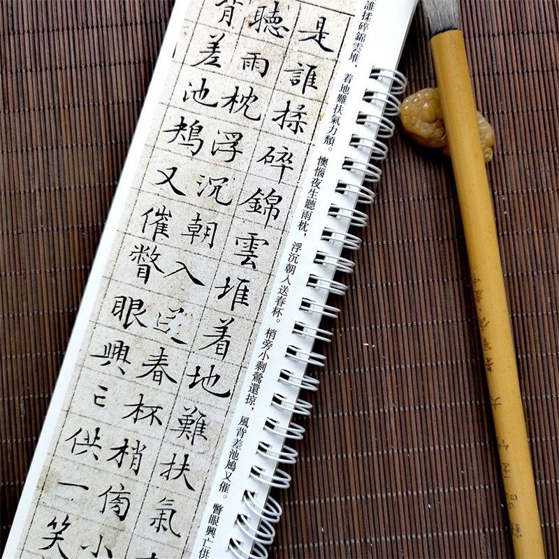 [正版]文征明小楷落花诗册 近距离临摹字帖练习字卡 弘蕴轩编 全文无删减放大碑帖 文徵明墨迹本学生成人近距离临摹字卡全高清大图