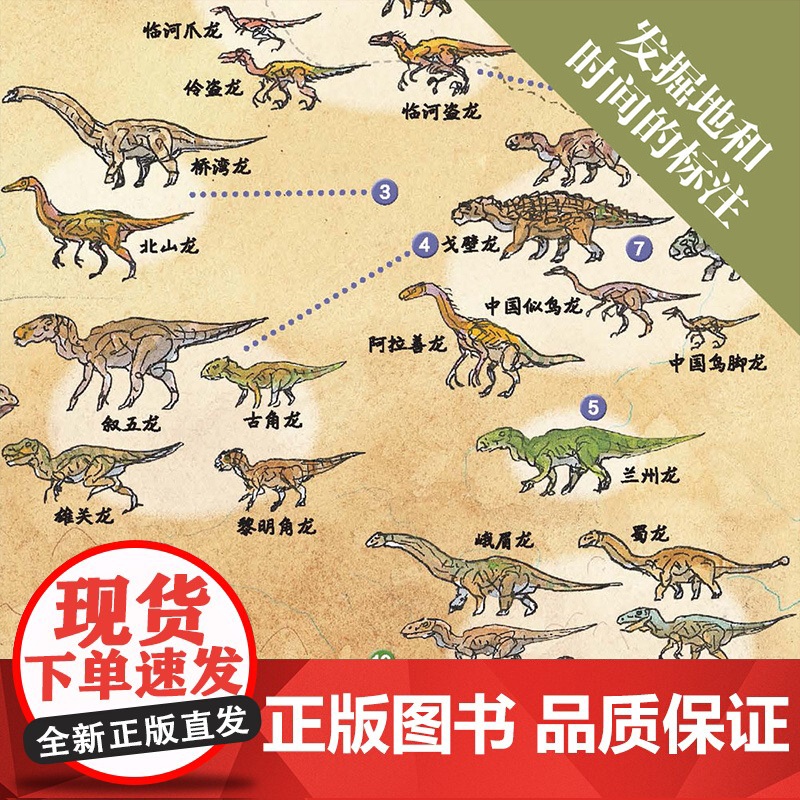 写给孩子的恐龙大百科全书2册 世界恐龙发现地图+恐龙地图 恐龙以及古生物发掘介绍 生动有趣 知识点超多侏罗纪霸王龙暴龙时高清大图